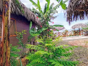 Close to the beach/holiday home - Image 5