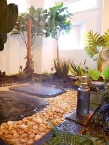 Le Jardin d'Eden - Spa, Sauna, Hammam - Champagne - Image 3