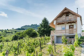 Buborék is a cute panoramic vineyard guesthouse - Image 2