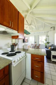 Rainbow Eucalyptus House + Private Yard - Image 3