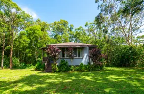 Rainbow Eucalyptus House + Private Yard - Image 5