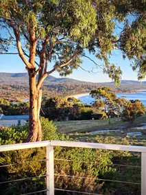 Bay of Fires Escape – Old Salty Shack - Image 4