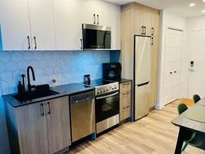 Le1109 - Penthouse with views of Quebec City - Image 4