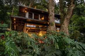 Casa Floresta - Urban Paradise- Ocean View - Image 2