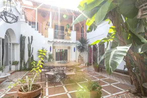 Riad Riari - Image 2