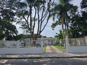 Silva family quiet - Image 2