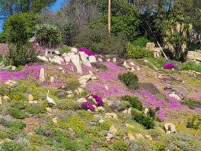 Private  Detatched Guest House in Mt. Helix - Image 3