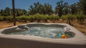 Hot Tub! Walk to Indigeny Reserve! 2 Private Acres - Image 3