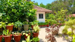 Marari Yoga: Private Villa Surrounded by Greenery - Image 2