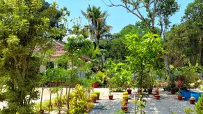 Marari Yoga: Private Villa Surrounded by Greenery - Image 4