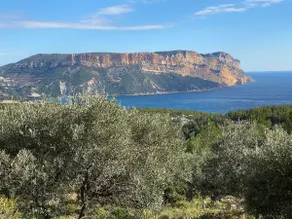 The Best in Cassis, Parking, Top Location, Balcony - Image 4