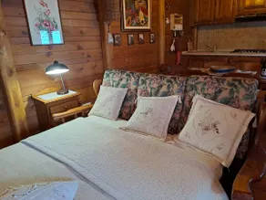 The house in the Airetta - Image 2