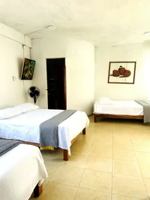 CEDRO•Bright space in the heart of Tepoztlán - Image 2