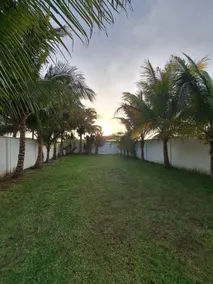 Hotel Kountry Palm Cabin Palm Beach Tortugas - Image 3