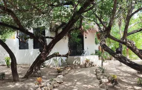 Garden, Air, 1 Block to Beach, Kitchenette, C4 - Image 3