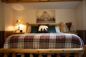 Eagles Landing Cabin w/HotTub - Image 3