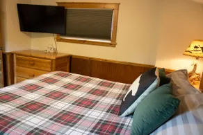 Eagles Landing Cabin w/HotTub - Image 4