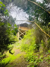 Glamping Boutique Outdoors - Image 5