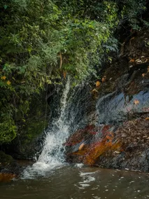 Novel chalet, immersed in nature with waterfall. - Image 5
