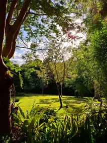 Country Cottage in Imbil (Mary Valley) - Image 5
