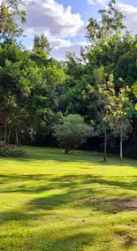 Country Cottage in Imbil (Mary Valley) - Image 3