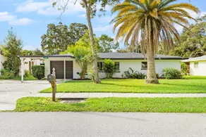 Palm Tree Haven - Image 2