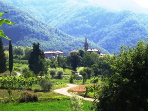 A Taste of Real Italy: private pool, garden, views - Image 2