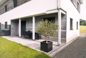 Verde Apartments 1 - Image 3