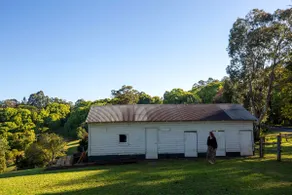 Byron Hinterland dreaming. - Image 3