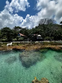 Oceanfront Secret - Image 3
