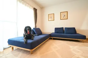 8-minute drive to Mt. Omuro, pets allowed, BBQ allowed, with hot spring, whole house rental | Sweet Villa Izu Kogen Prime - Image 5