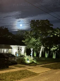 The Sunflower Bungalow - Image 3