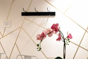Toni's - Amazing Home 2' From Acropolis Museum - Image 3