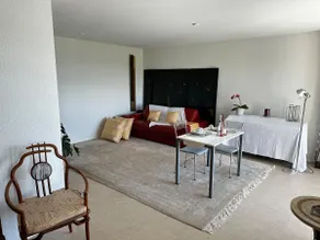 Lakeview Apartment-Lavaux - Image 3