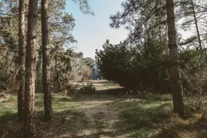 NatuRauw - cozy vacation home in nature! - Image 2
