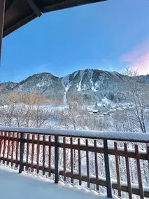 Nice cottage between mountain and lake THOLLON - Image 4