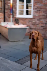 Dog Friendly Cottage | Enclosed | Hottub - Image 5