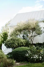 The Cottage on Main -Virginia Wine & Horse Country - Image 2