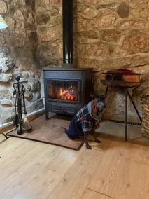 Autumn and a wood-burning stove with views of the Picos de Europa - Image 2