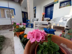 Cheerful house in the Green Heart village next to Sopron - Image 2