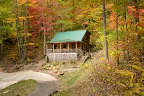 Incredible Views! Cute cabin close to Asheville! - Image 5