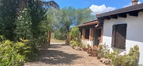 Pretty House - Image 2