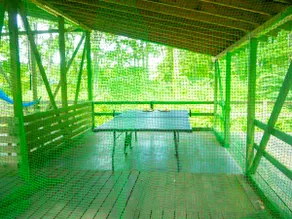 A bungalow in the woods, with a large roofed deck for BBQ, table tennis, hammocks, and up to 23 people. - Image 5