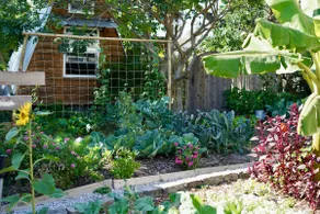 Permaculture Homestead - Image 4