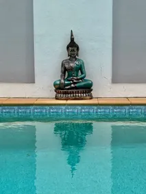 Fabulous Beach Villa in Amazing location - Image 3