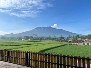 Koto Hills Homestay w mountain n rice field view - Image 4