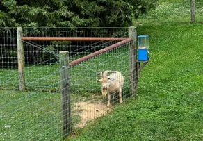 Lapp Farmhouse Bed & Breakfast - Amish Country PA - Image 2