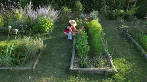 Belvedere Farmhouse: 2 Bedrooms, 2 Bathrooms, AC | Bolgheri & Sea at 10 minutes - Image 2