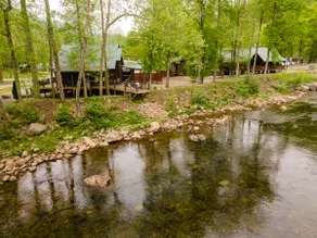 Strangely Cozy Elk Cabin | Fish, Hike, Soak, King - Image 3