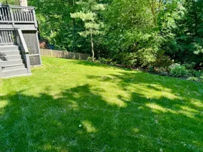 Spacious 1BR/1BA Basement Apt. w/ Private Entry - Image 4